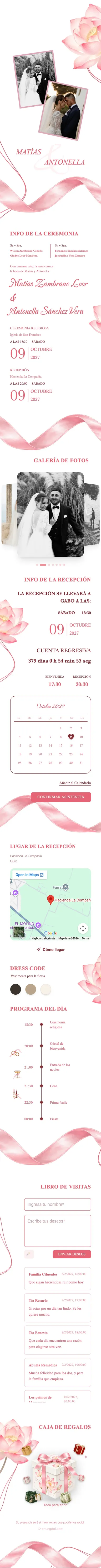 Cinta de Seda - Rosa