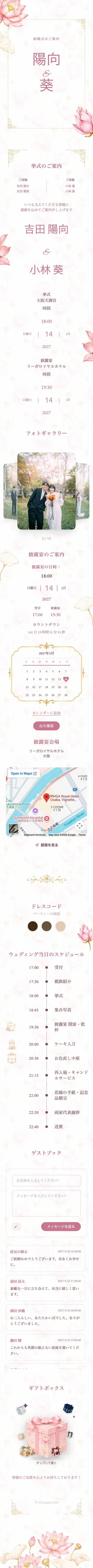 蓮の花 - ピンク