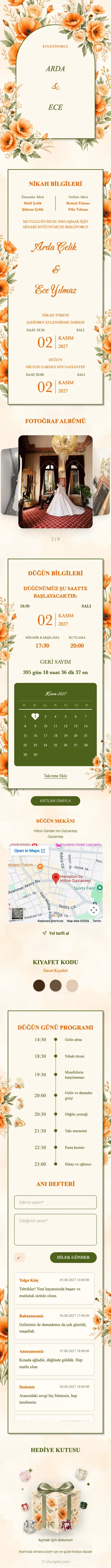 Kuru Çiçek - Turuncu