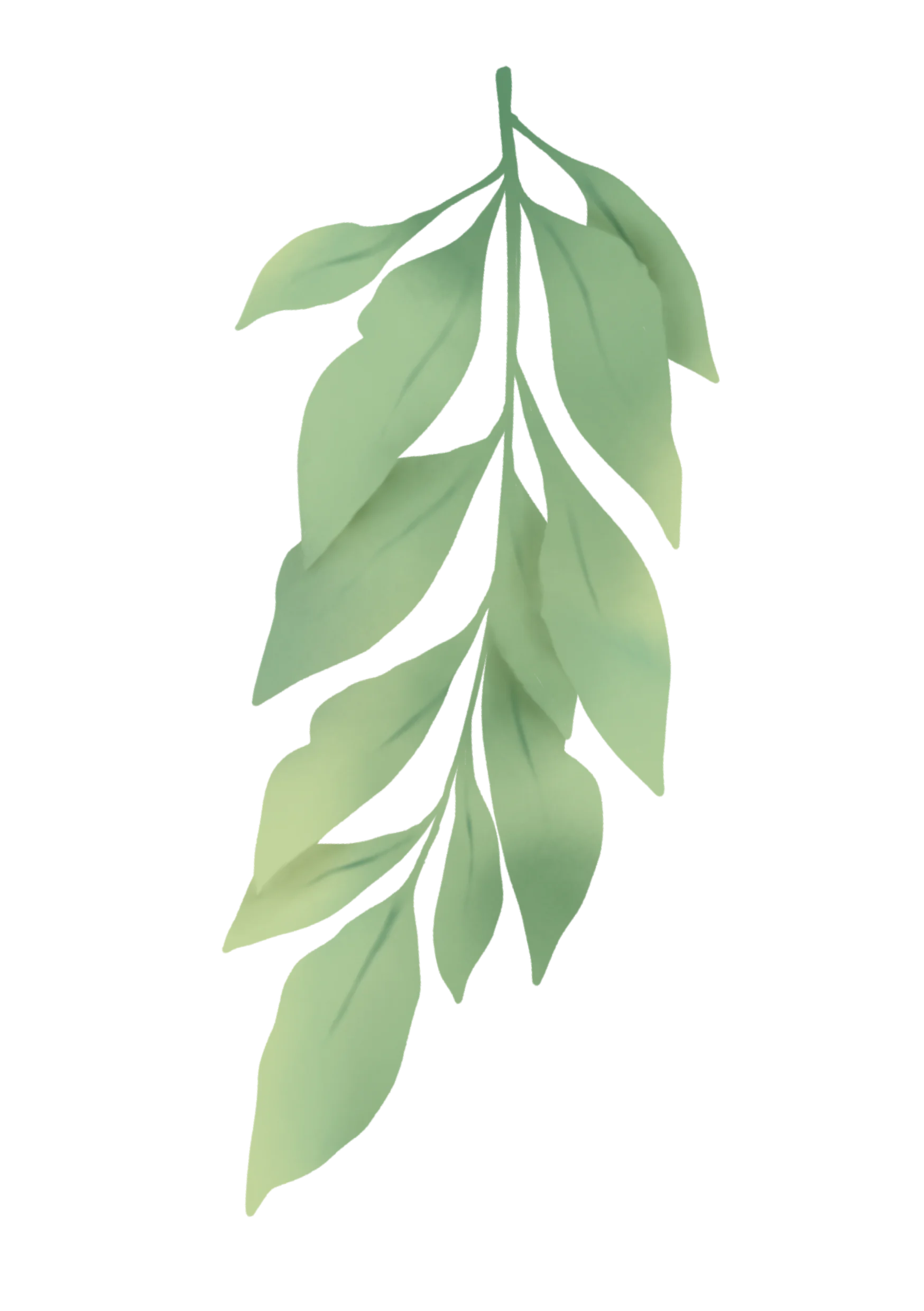 Leaf decoration